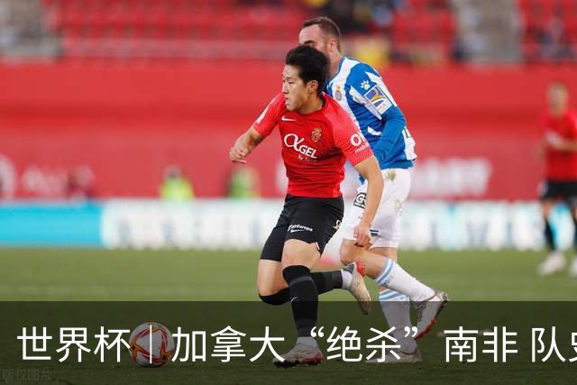 世界杯｜加拿大“绝杀”南非 队史首进16强