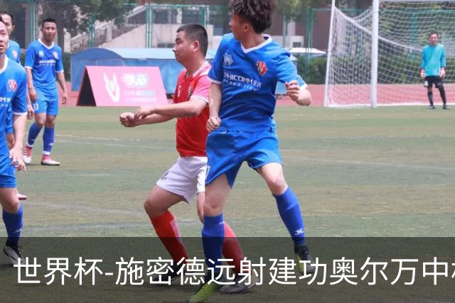 世界杯-施密德远射建功奥尔万中框 半场奥地利1-0约旦