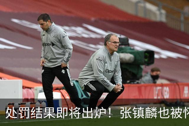 处罚结果即将出炉！张镇麟也被怀疑，球迷呼吁应取消上海冠军