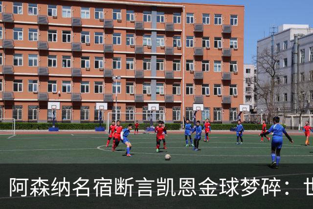 阿森纳名宿断言凯恩金球梦碎：世界杯半决赛他完全消失了